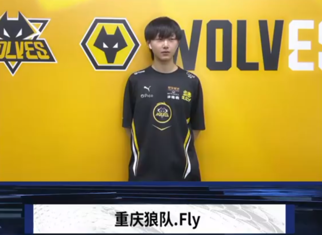 经历